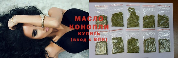 твердый Козельск