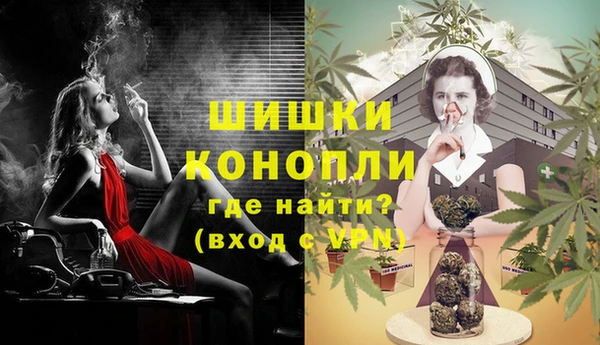 твердый Козельск