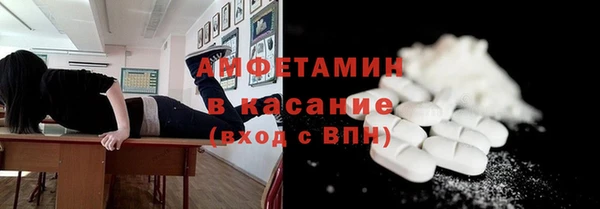 твердый Козельск