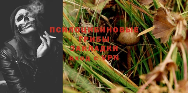 твердый Козельск