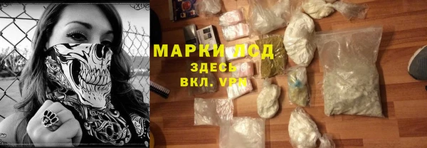 твердый Козельск