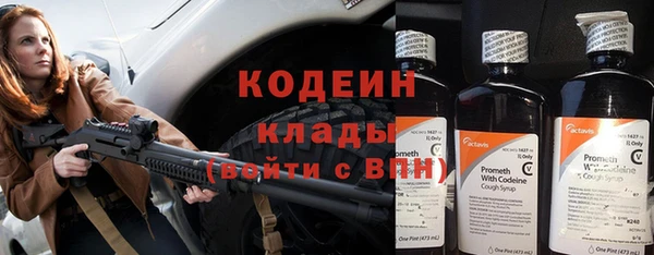 твердый Козельск